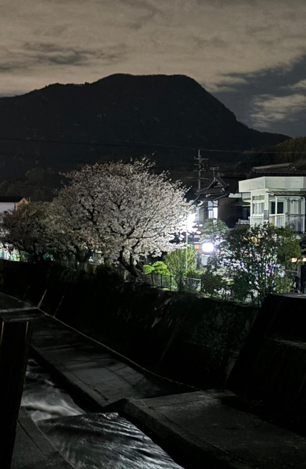 Guesthouse Sakichi Beppu Exterior foto